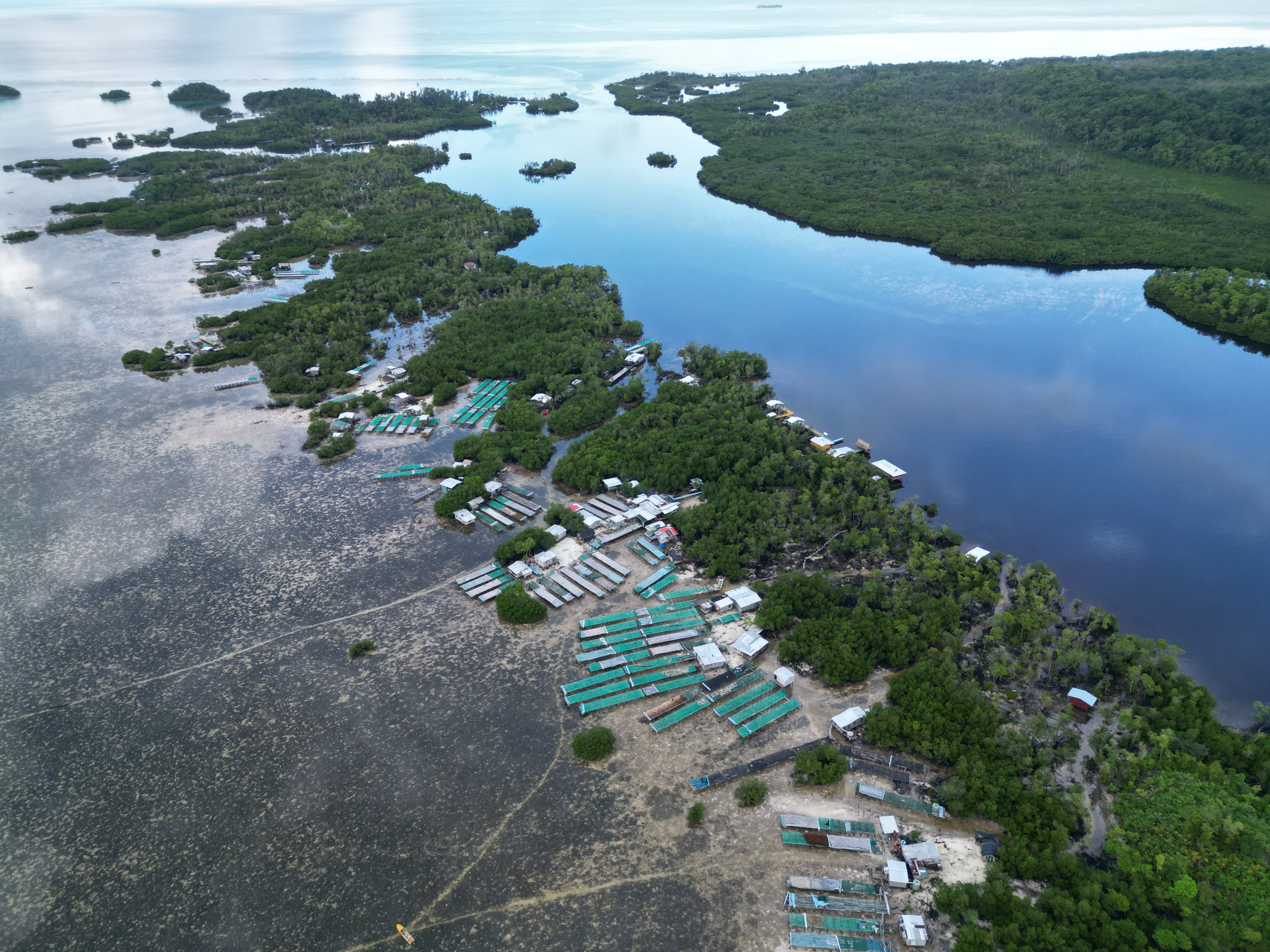 WWF-Pacific Urges Faster, Fairer Climate Finance for Pacific Communities at COP30