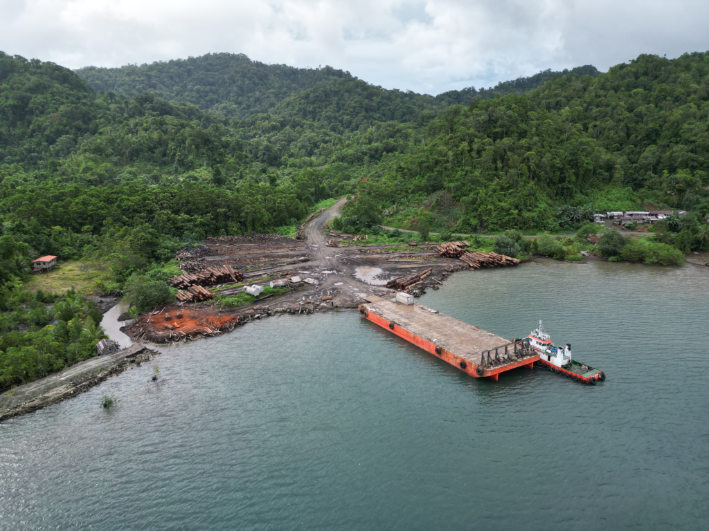 The Last Trees: Solomon Islands Faces Life After Logging