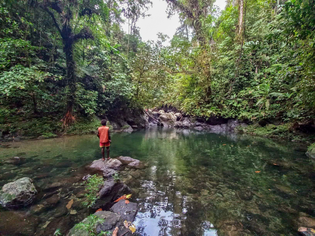 Padezaka forest gets go-ahead to join global carbon market, promising income for 4,000 landowners
